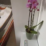 Le Cosy Chic 圣莫里斯-德拜伊